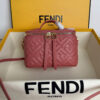 Fendi Vanity Embossed (28)
